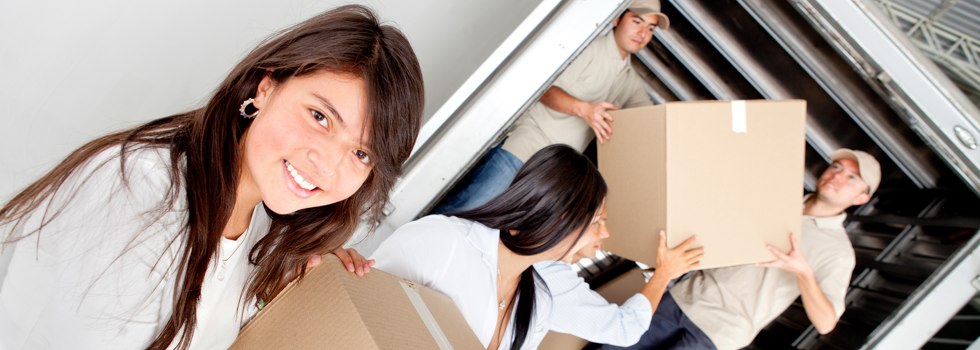 Professional Removalists Contine